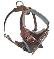 Medium dog Harness for Cane Corso -Leather Harness